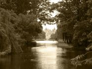 under the weeping willow tree the body was found